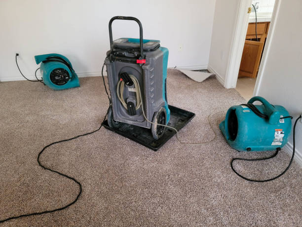 Best Local water damage restoration  in Oak Forest, IL