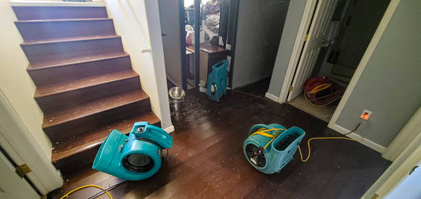 Best Water damage restoration services  in Oak Forest, IL