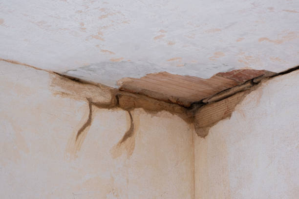 Best Flood restoration services  in Oak Forest, IL