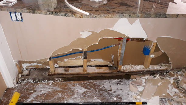  Oak Forest, IL Water damage restoration Pros