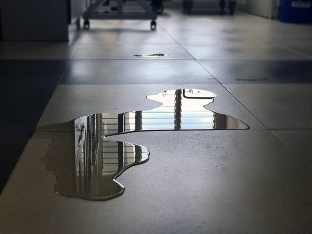 Best Water damage restoration near me  in Oak Forest, IL