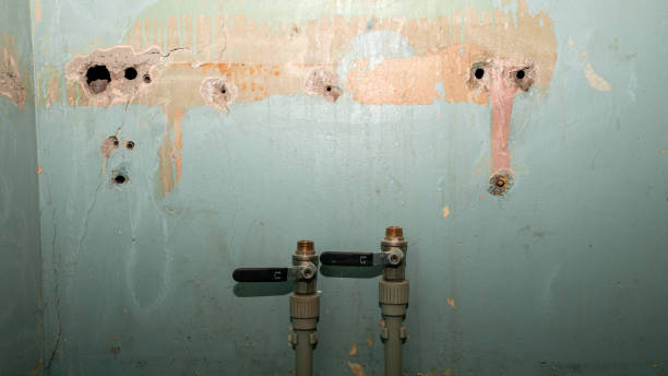 Best Residential water damage restoration  in Oak Forest, IL