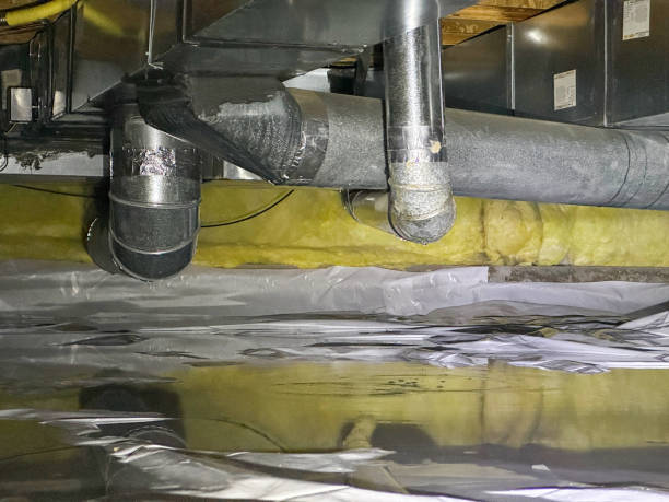 Best 24/7 water damage repair  in Oak Forest, IL