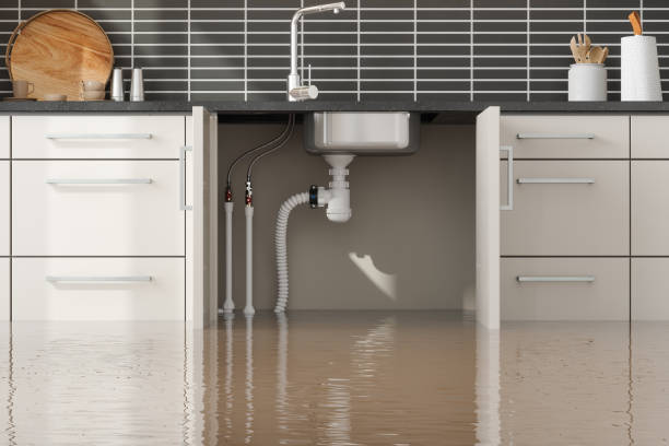 Best Emergency water damage restoration  in Oak Forest, IL