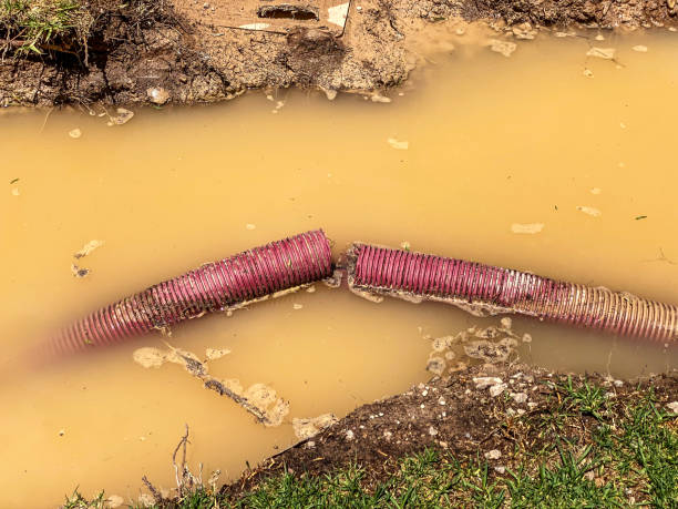  Oak Forest, IL Water damage restoration Pros