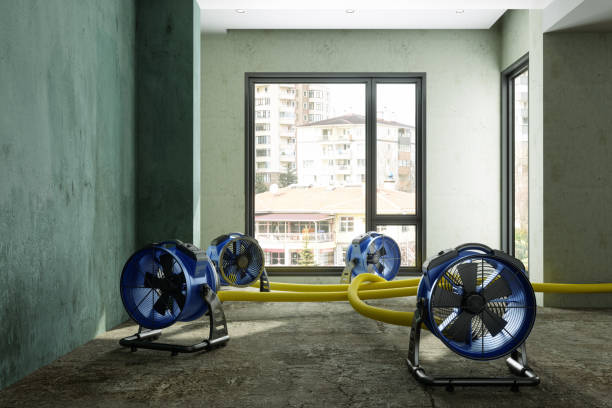 Best 24/7 water damage repair  in Oak Forest, IL