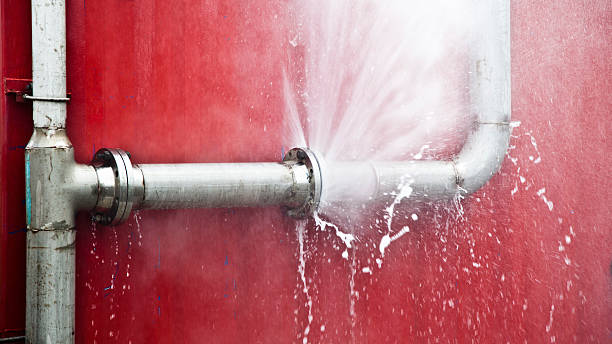 Water damage restoration mold remediation in Oak Forest, IL