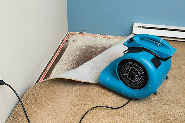 Best Professional water damage repair  in Oak Forest, IL